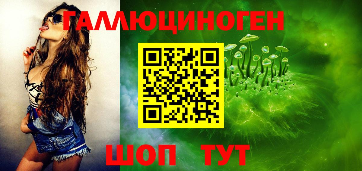 Кореновск  Псилоцибиновые грибы Cubensis  Вход с VPN 