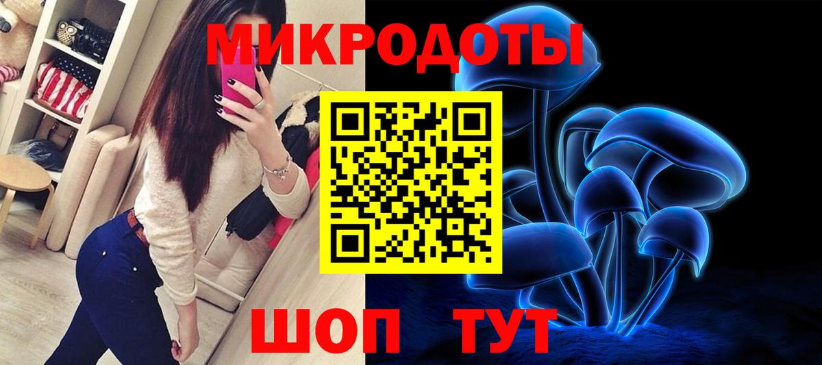 Псилоцибиновые грибы Cubensis Кореновск